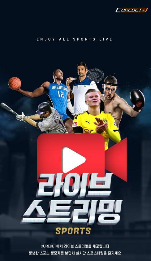 큐어벳 라이브스트리밍