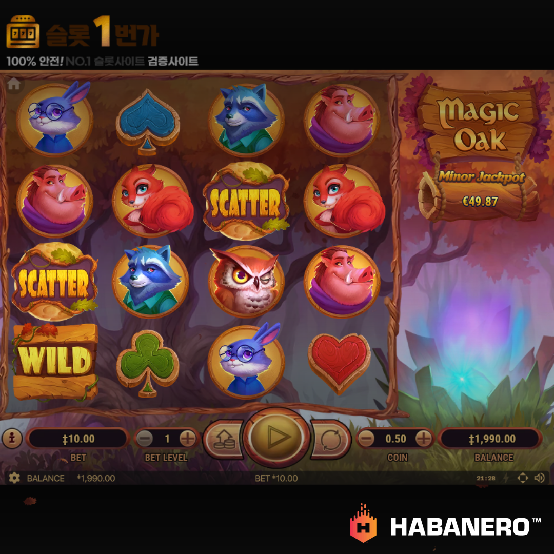 하바네로 [Habanero] – 매직 오크(Magic Oak) 무료 슬롯게임