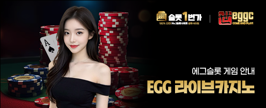 라이브카지노 게임 제공
