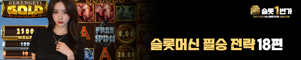 슬롯머신 필승 전략 18편