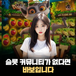 슬롯 클럽에 가입 안 하는 건 바보짓이다